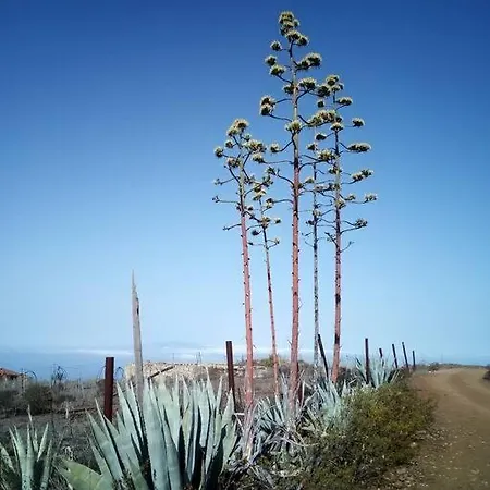 Romantic Eco Retreat Costa Adeje (Tenerife)